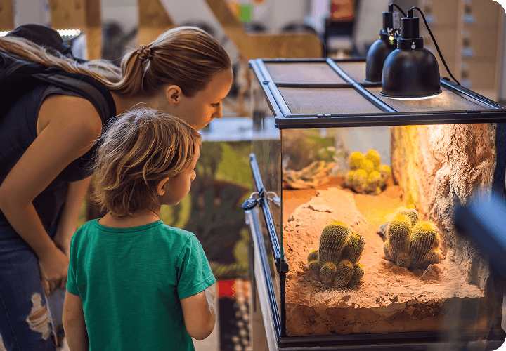 about-cta-section-img