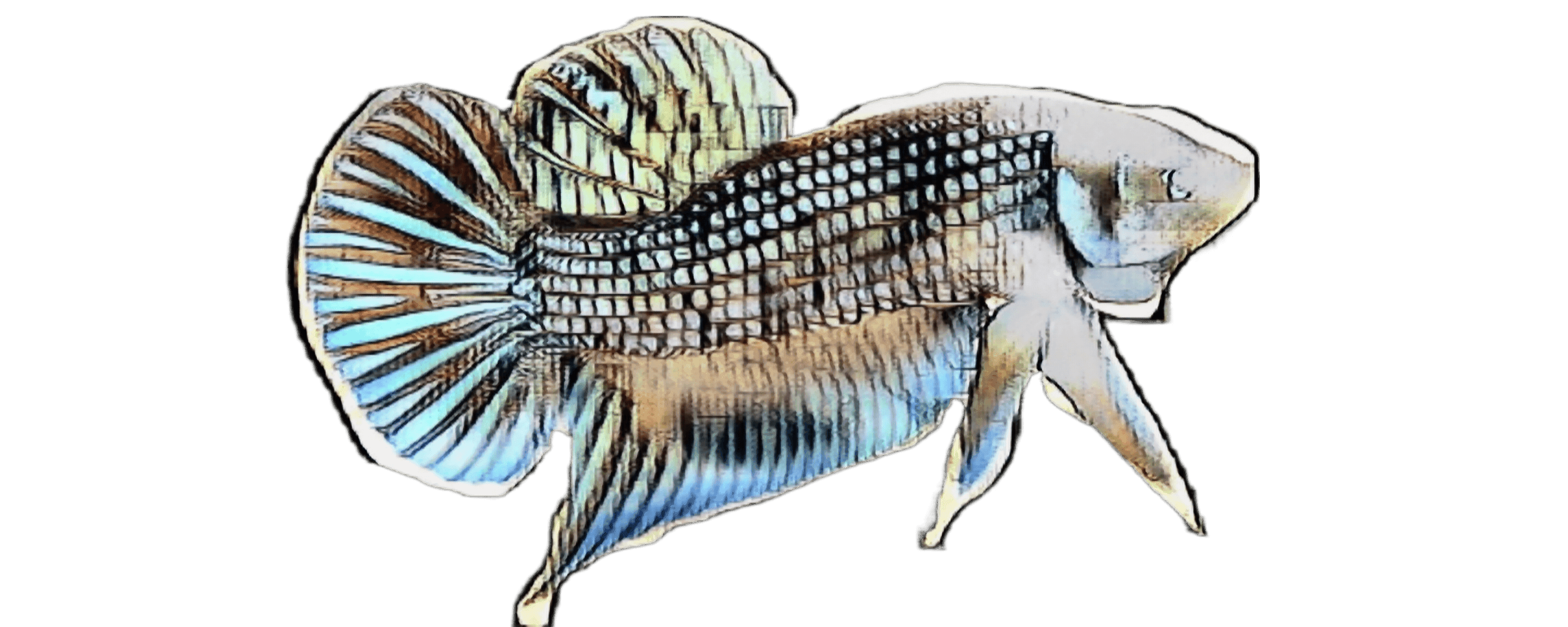 species-image
