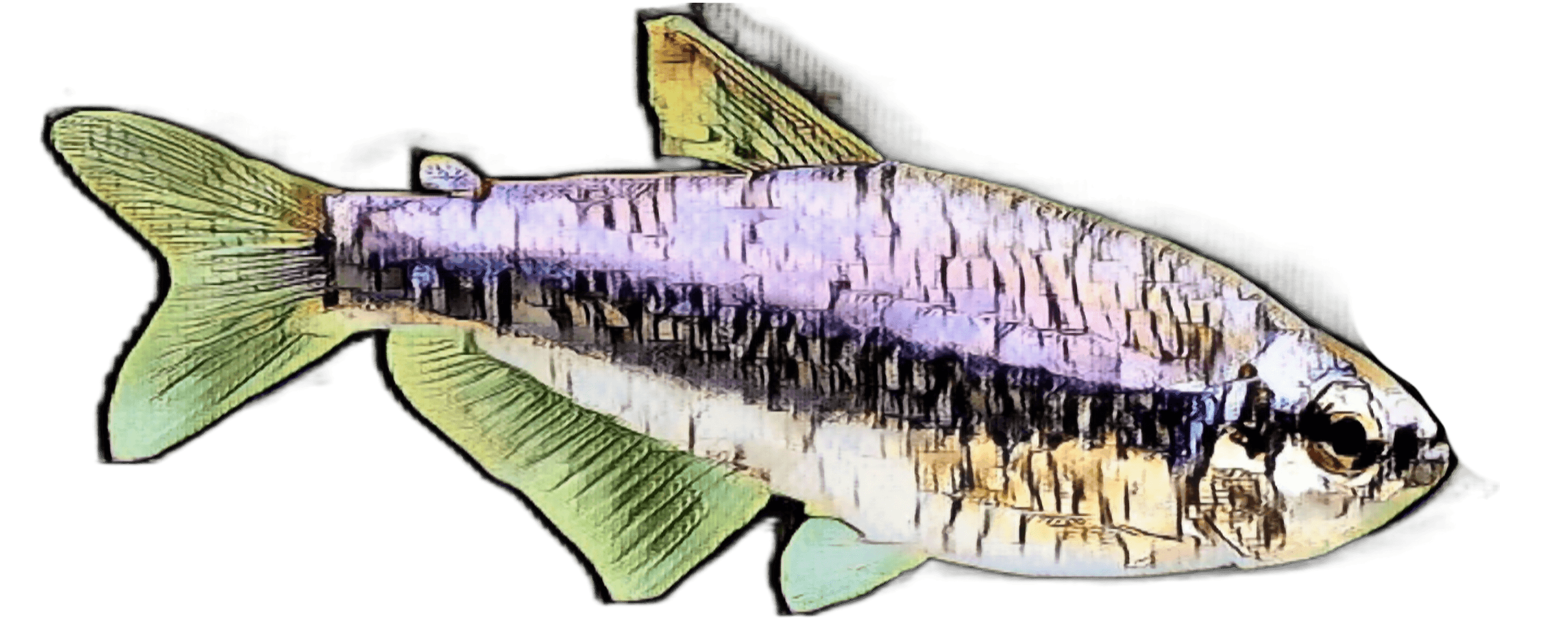species-image