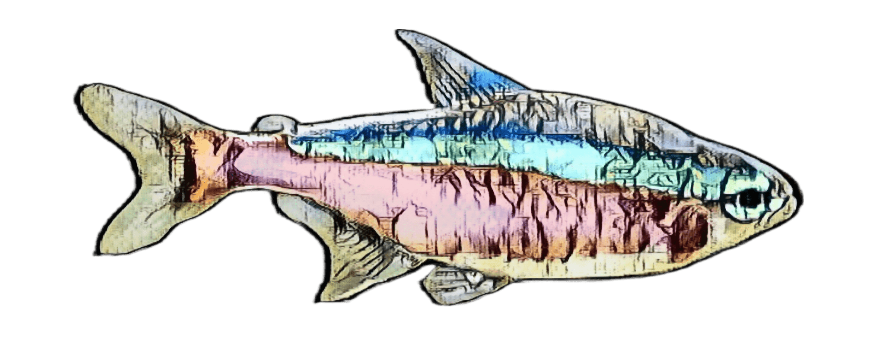species-image