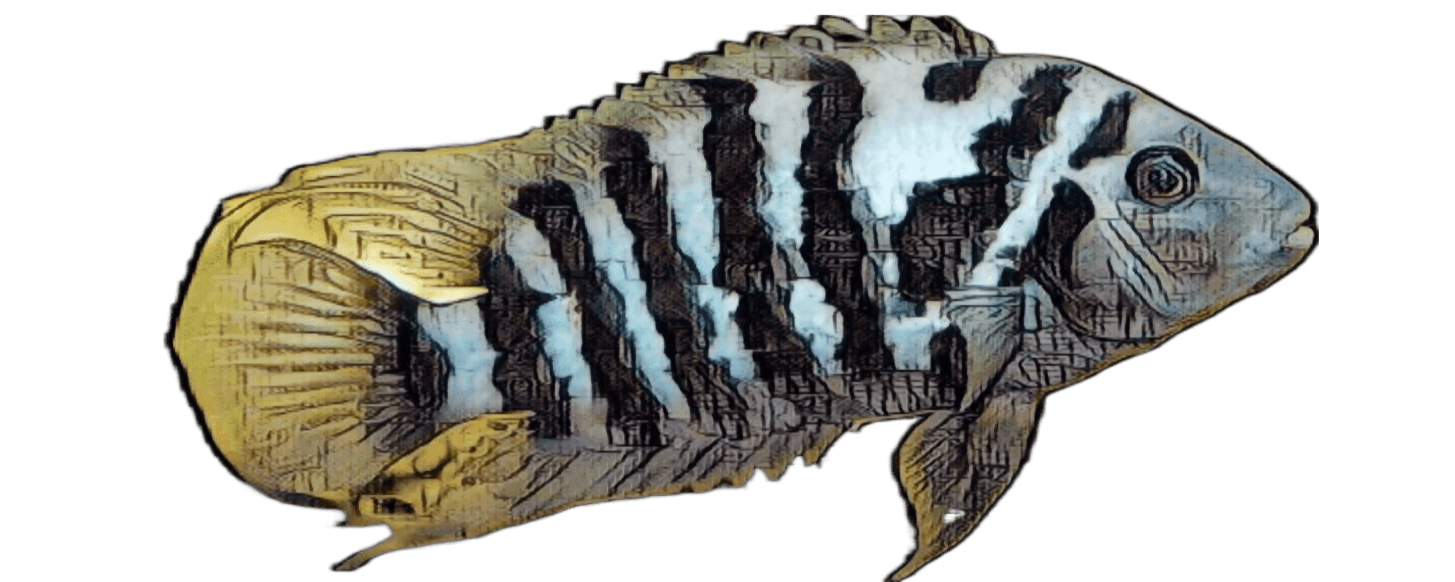 species-image
