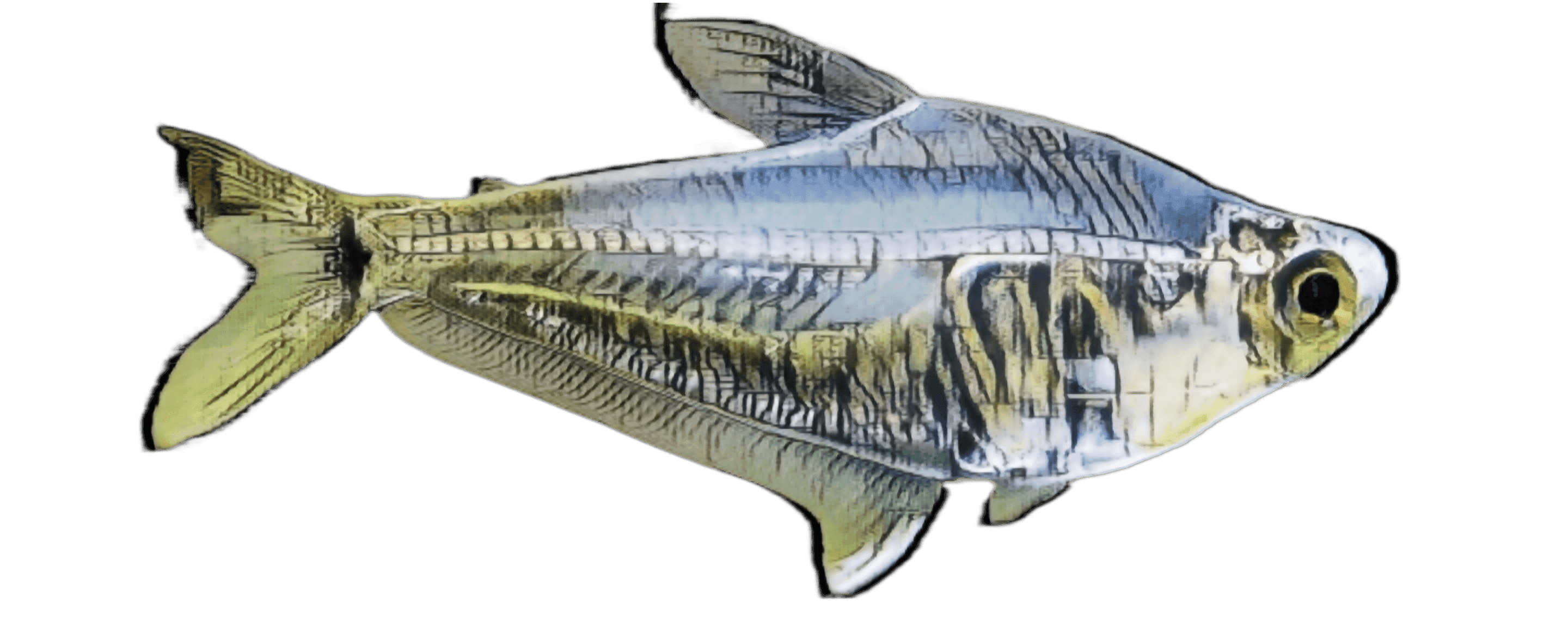 species-image