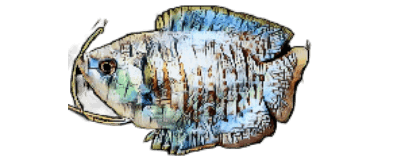 species-image
