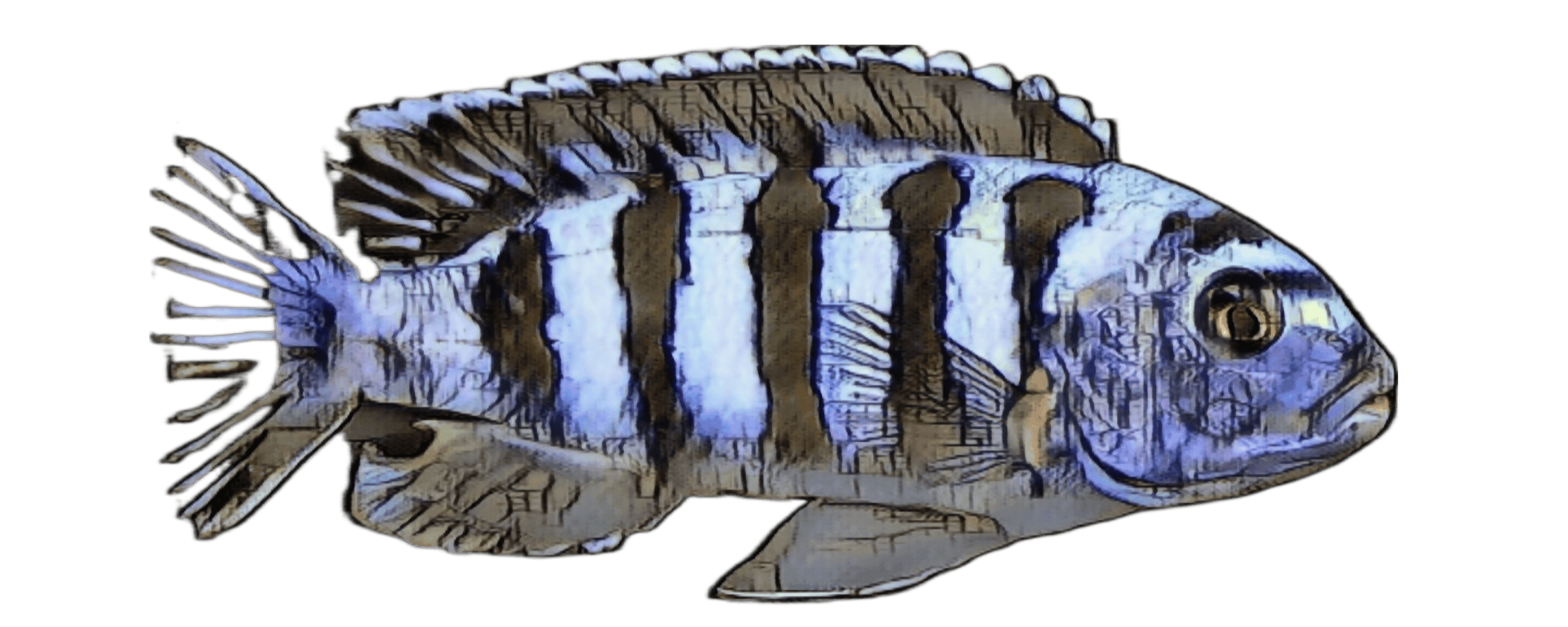 species-image