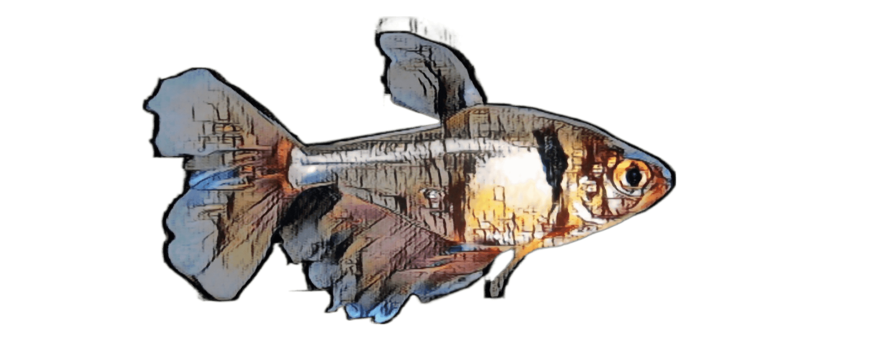 species-image