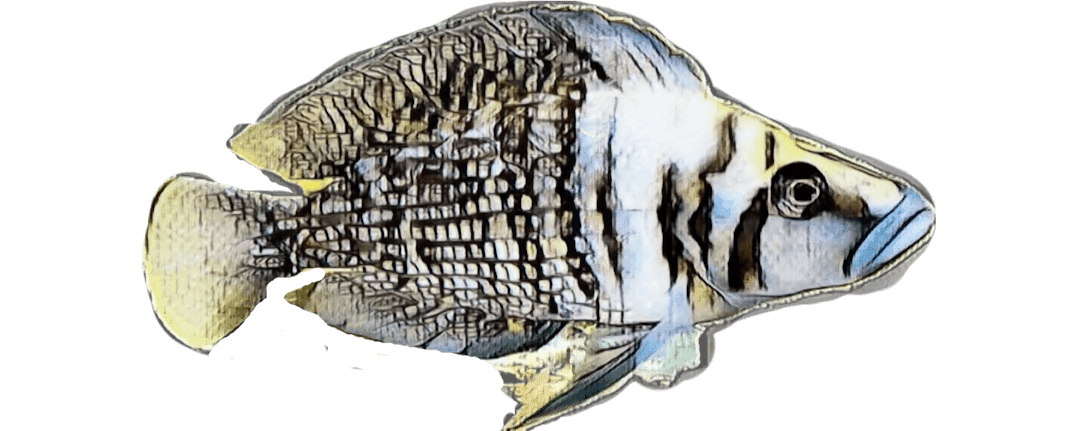 species-image