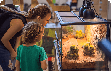 about-cta-section-img