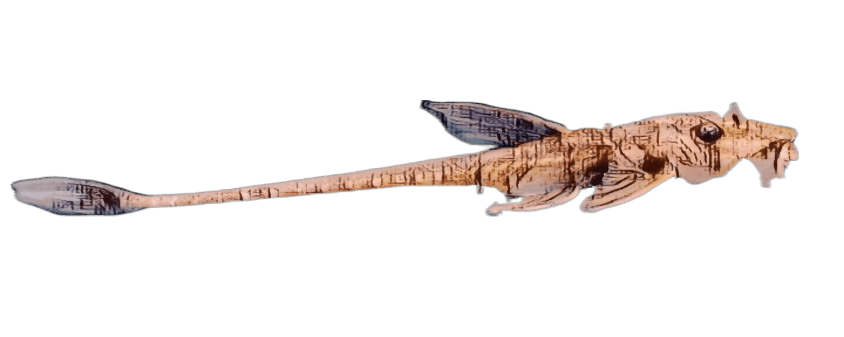 species-image