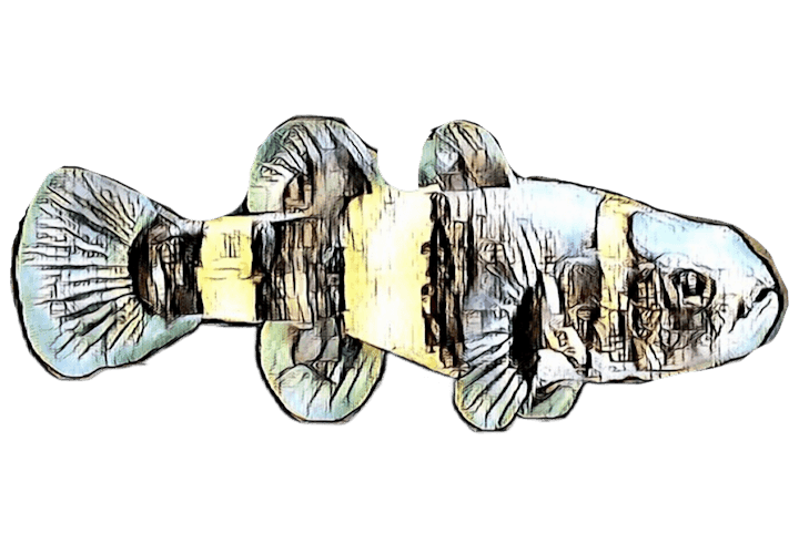 species-image